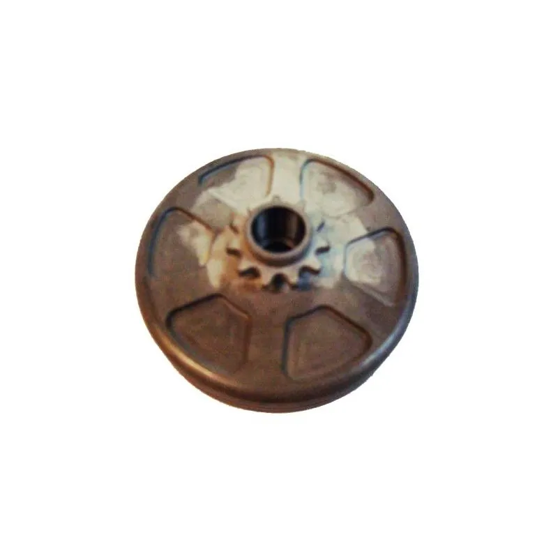 Campana pignone Z10 TM 60cc mini -1- & -2- in Offerta - Acquista da