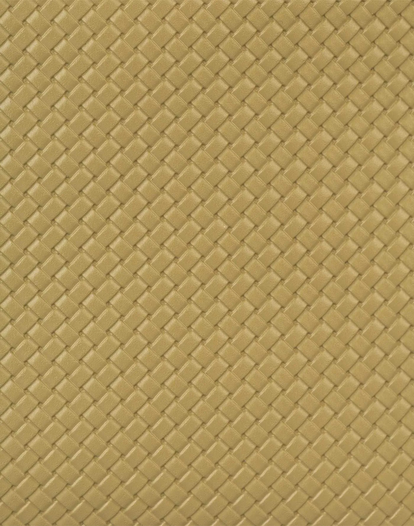 Hand-bag verde stampata con tracolla