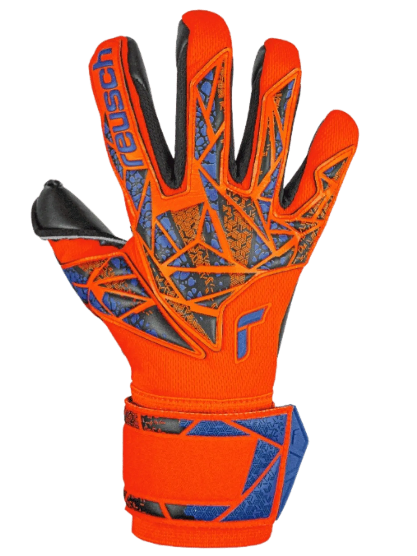 Reusch Attrakt Duo Guanti Portiere